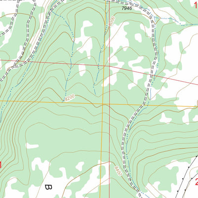 US Forest Service - Topo Gurley Canyon, CO FSTopo Legacy digital map