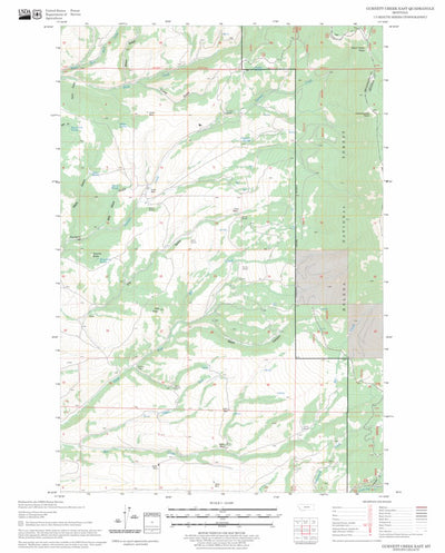 US Forest Service - Topo Gurnett Creek East, MT FSTopo Legacy digital map