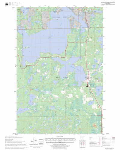 US Forest Service - Topo Hackensack, MN FSTopo Legacy digital map