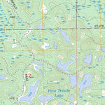 US Forest Service - Topo Hackensack, MN FSTopo Legacy digital map