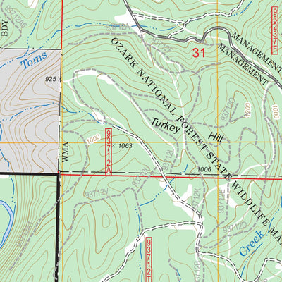 US Forest Service - Topo Hagarville, AR FSTopo Legacy digital map