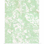 US Forest Service - Topo Hamelton Butte, OR FSTopo Legacy digital map