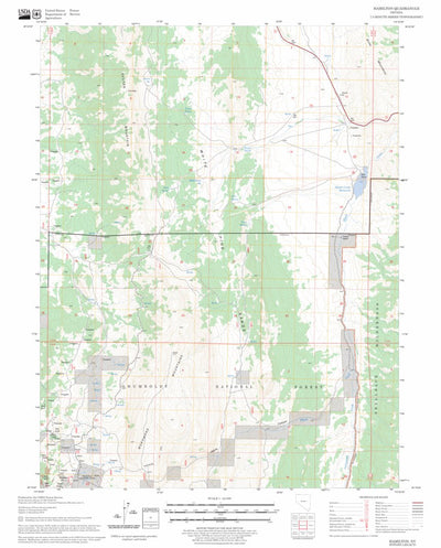 US Forest Service - Topo Hamilton, NV FSTopo Legacy digital map