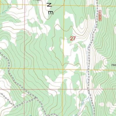 US Forest Service - Topo Hamilton, NV FSTopo Legacy digital map