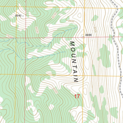 US Forest Service - Topo Hamilton, NV FSTopo Legacy digital map