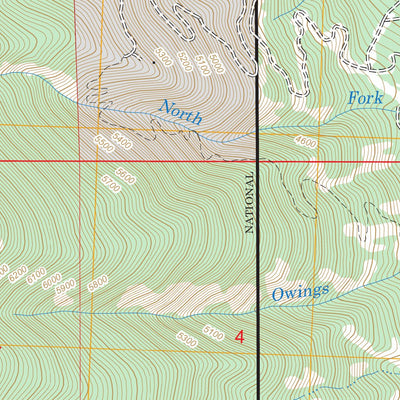 US Forest Service - Topo Hamilton South, MT FSTopo Legacy digital map