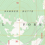 US Forest Service - Topo Hamner Butte, OR FSTopo Legacy digital map