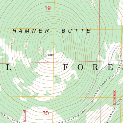 US Forest Service - Topo Hamner Butte, OR FSTopo Legacy digital map