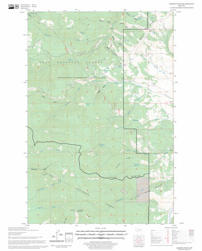 US Forest Service - Topo Harvey Point, MT FSTopo Legacy digital map
