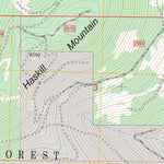 US Forest Service - Topo Haskill Mountain, MT FSTopo Legacy digital map