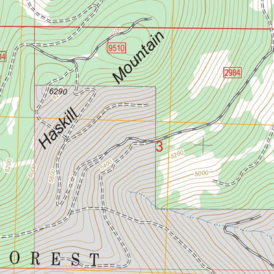 US Forest Service - Topo Haskill Mountain, MT FSTopo Legacy digital map