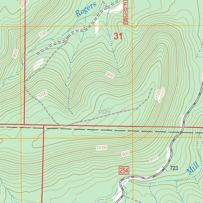 US Forest Service - Topo Havana, AR FSTopo Legacy digital map