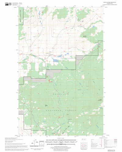 US Forest Service - Topo Havillah, WA FSTopo Legacy digital map