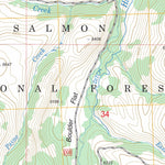 US Forest Service - Topo Hayden Creek, ID FSTopo Legacy digital map