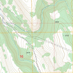 US Forest Service - Topo Hilgard, OR FSTopo Legacy digital map