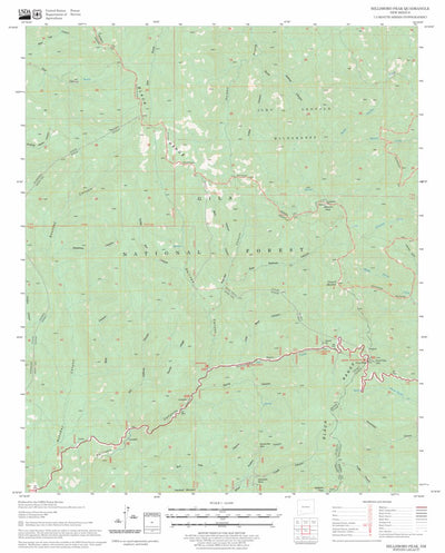 US Forest Service - Topo Hillsboro Peak, NM FSTopo Legacy digital map