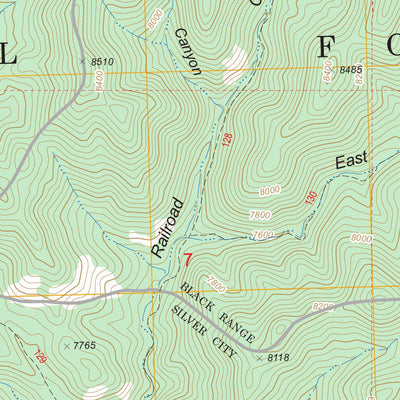 US Forest Service - Topo Hillsboro Peak, NM FSTopo Legacy digital map