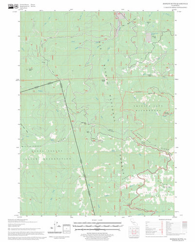 US Forest Service - Topo Hopkins Butte, CA FSTopo Legacy digital map