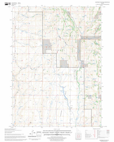 US Forest Service - Topo Hopper Gulch, ID FSTopo Legacy digital map
