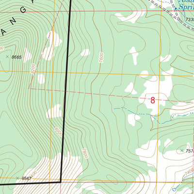 US Forest Service - Topo Horse Mountain West, NM FSTopo Legacy digital map