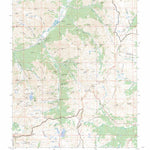 US Forest Service - Topo Howardsville, CO FSTopo Legacy digital map