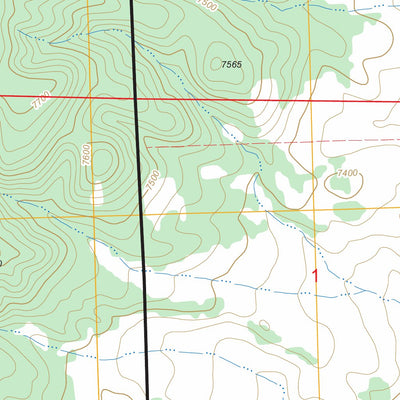 US Forest Service - Topo Indian Peaks East, NM FSTopo Legacy digital map