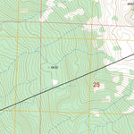 US Forest Service - Topo Indian Point, CO FSTopo Legacy digital map