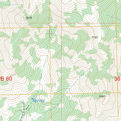 US Forest Service - Topo Indian Springs, UT FSTopo Legacy digital map