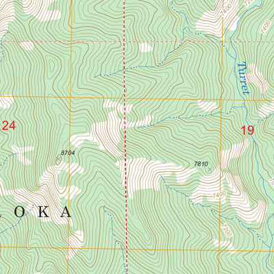 US Forest Service - Topo Jaggar Peak, WY FSTopo Legacy digital map