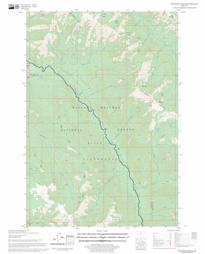 US Forest Service - Topo Jim White Ridge, OR FSTopo Legacy digital map