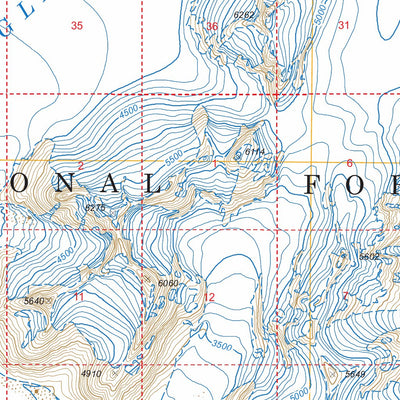 US Forest Service - Topo Juneau D-2, AK FSTopo Legacy digital map