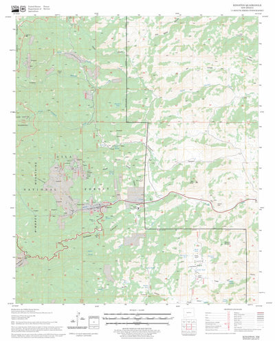 US Forest Service - Topo Kingston, NM FSTopo Legacy digital map