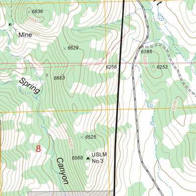 US Forest Service - Topo Kingston, NM FSTopo Legacy digital map