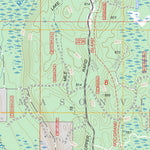 US Forest Service - Topo Lake Stella, MI FSTopo Legacy digital map