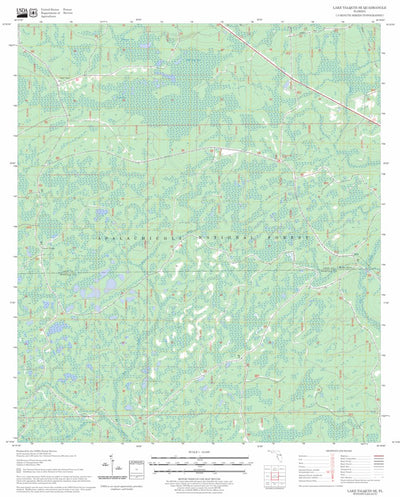 US Forest Service - Topo Lake Talquin SE, FL FSTopo Legacy digital map