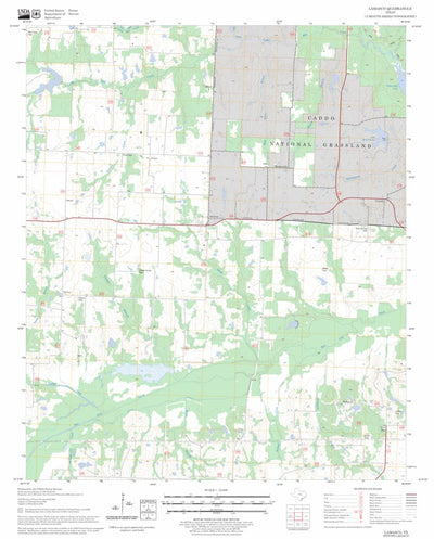 US Forest Service - Topo Lamasco, TX FSTopo Legacy digital map