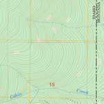 US Forest Service - Topo Leonia, ID - MT FSTopo Legacy digital map