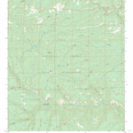 US Forest Service - Topo Lilley Mountain, NM FSTopo Legacy digital map