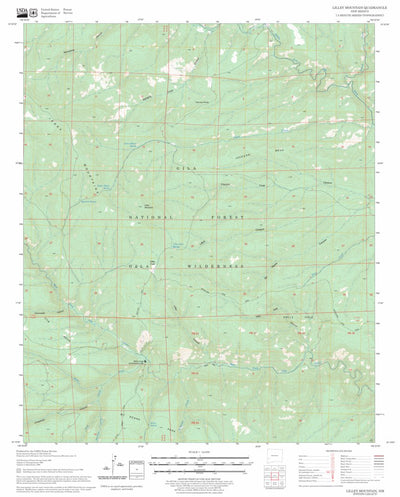 US Forest Service - Topo Lilley Mountain, NM FSTopo Legacy digital map
