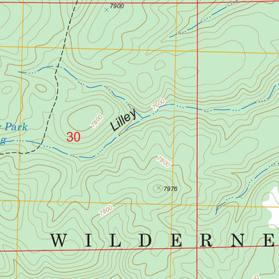 US Forest Service - Topo Lilley Mountain, NM FSTopo Legacy digital map