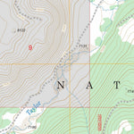 US Forest Service - Topo Lincoln Mountain, MT FSTopo Legacy digital map
