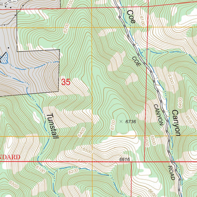 US Forest Service - Topo Lincoln, NM FSTopo Legacy digital map