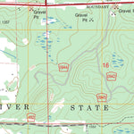 US Forest Service - Topo Linden Grove, MN FSTopo Legacy digital map