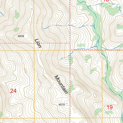 US Forest Service - Topo Lion Mountain, AZ FSTopo Legacy digital map