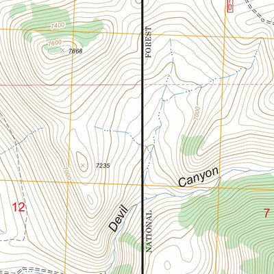 US Forest Service - Topo Little Antelope Flat, ID FSTopo Legacy digital map