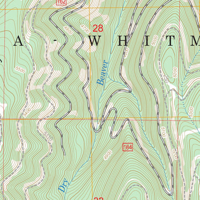 US Forest Service - Topo Little Beaver Creek, OR FSTopo Legacy digital map