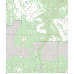 US Forest Service - Topo Little Cone, CO FSTopo Legacy digital map