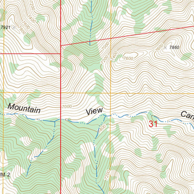 US Forest Service - Topo Little Fish Lake, NV FSTopo Legacy digital map
