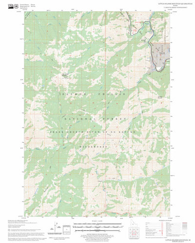 US Forest Service - Topo Little Soldier Mountain, ID FSTopo Legacy digital map