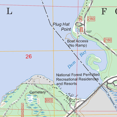 US Forest Service - Topo Little Winnibigoshish Lake, MN FSTopo Legacy digital map